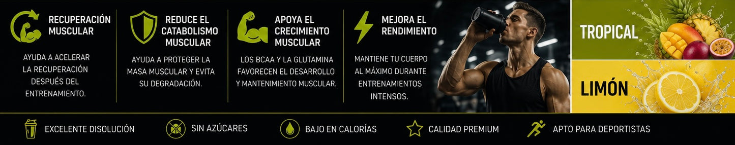 BCAA + GLUTAMINA CONCEPT 500G